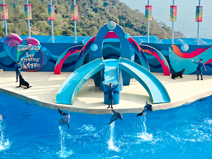 【纯玩亲子畅想游】港澳港海洋公园5日游